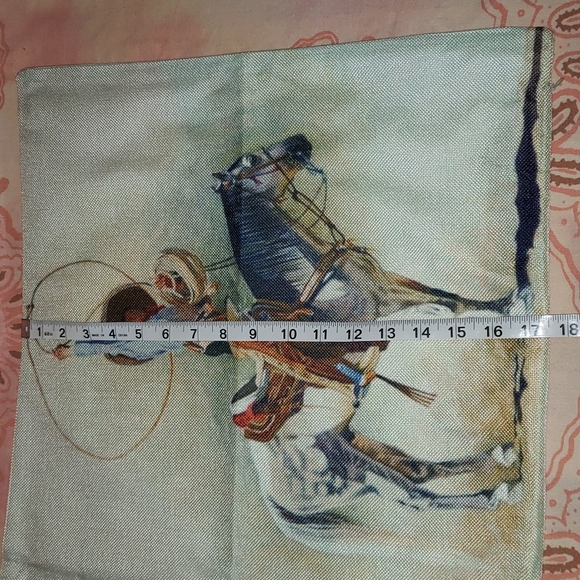 Charro Pillow Cover. Charreria Horse Western Rodeo Caballo - Picture 10 of 11